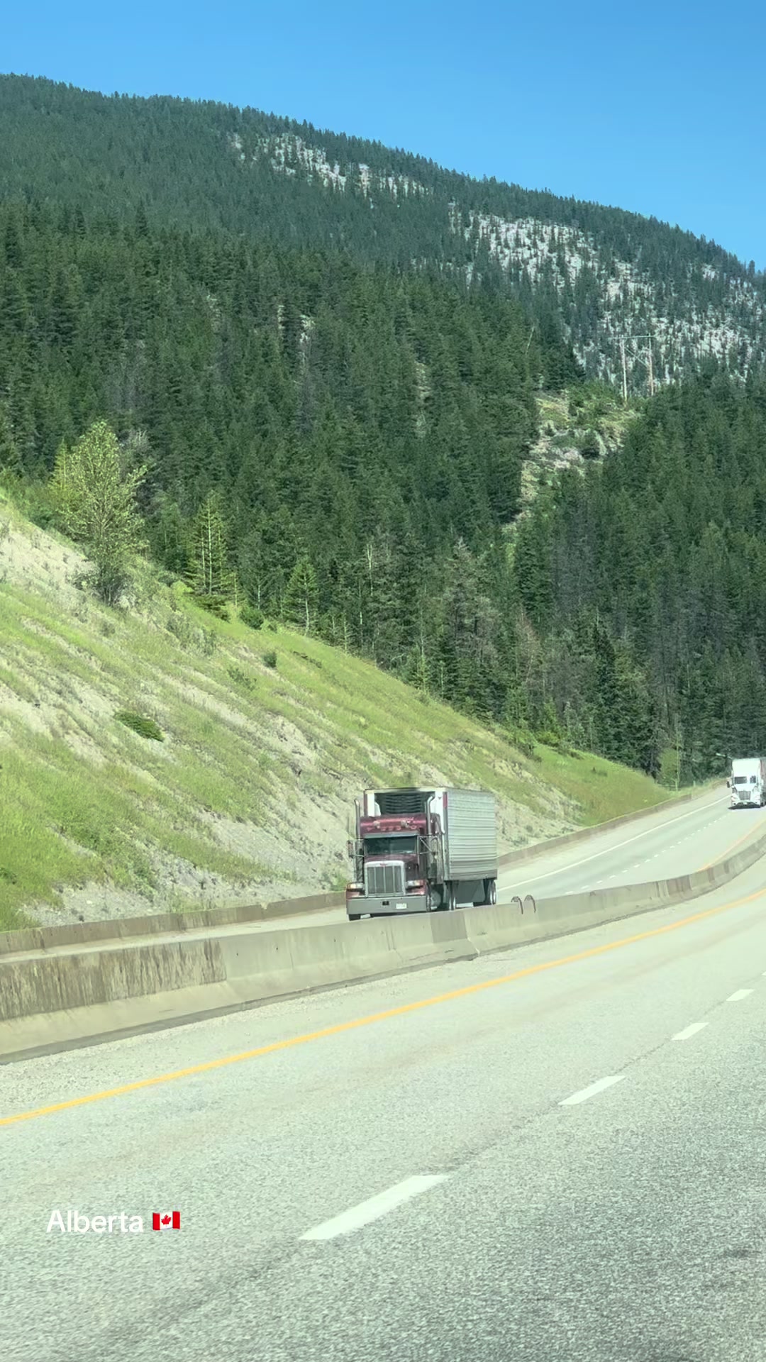 @Ada 🇨🇦