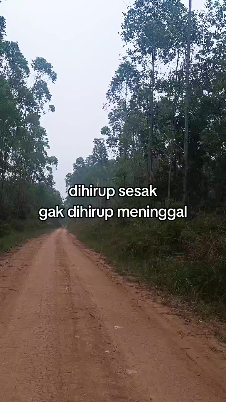 @BINI MU🌞
