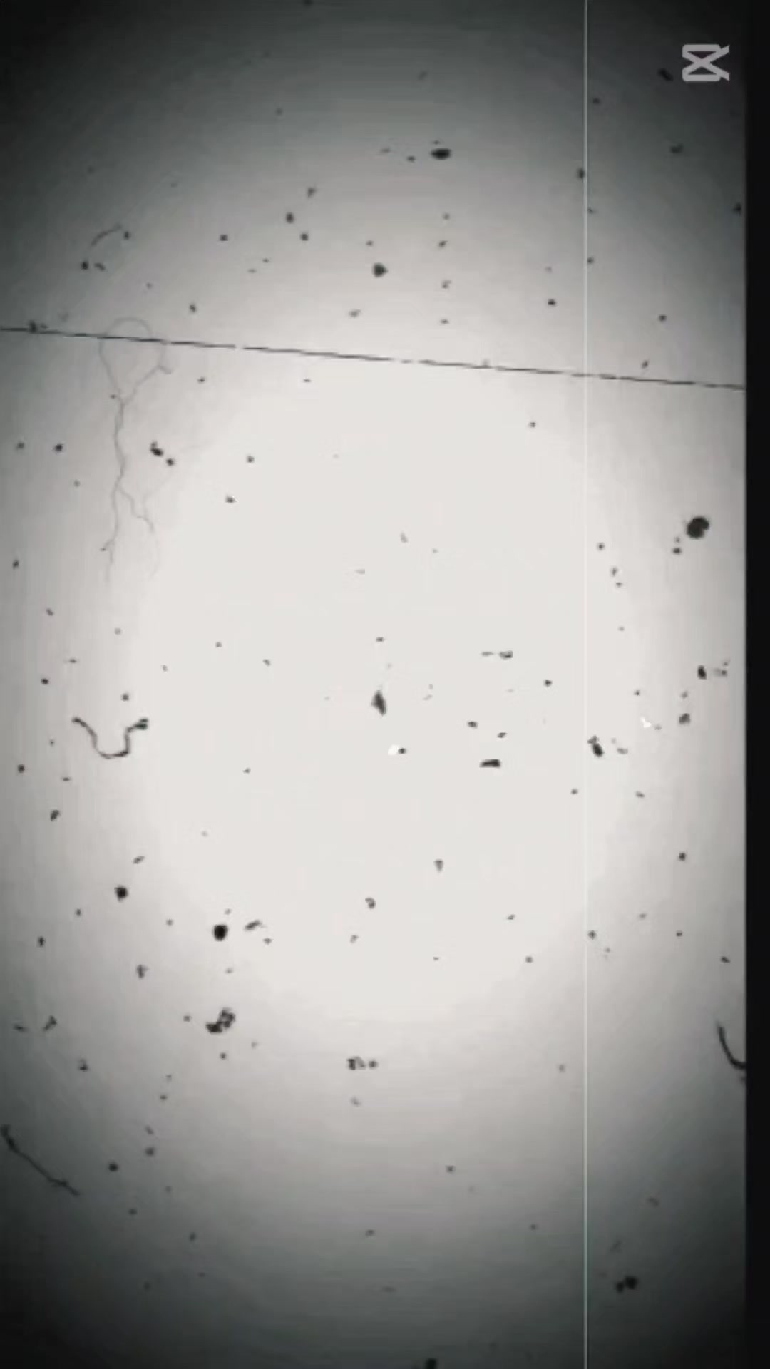 @🇦 🇦 🇳 🇨 🇭 🇦 🇱