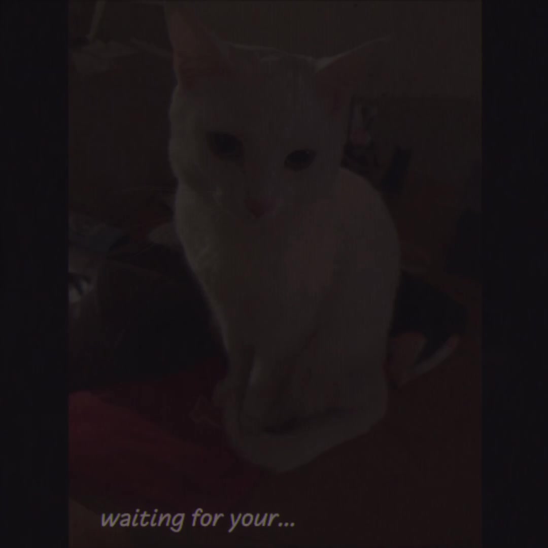 @ian
