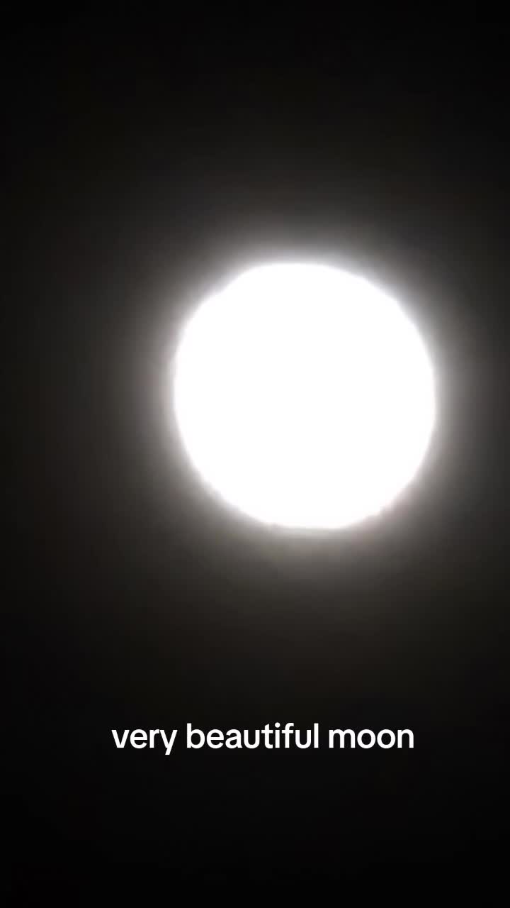 @فادي المصري