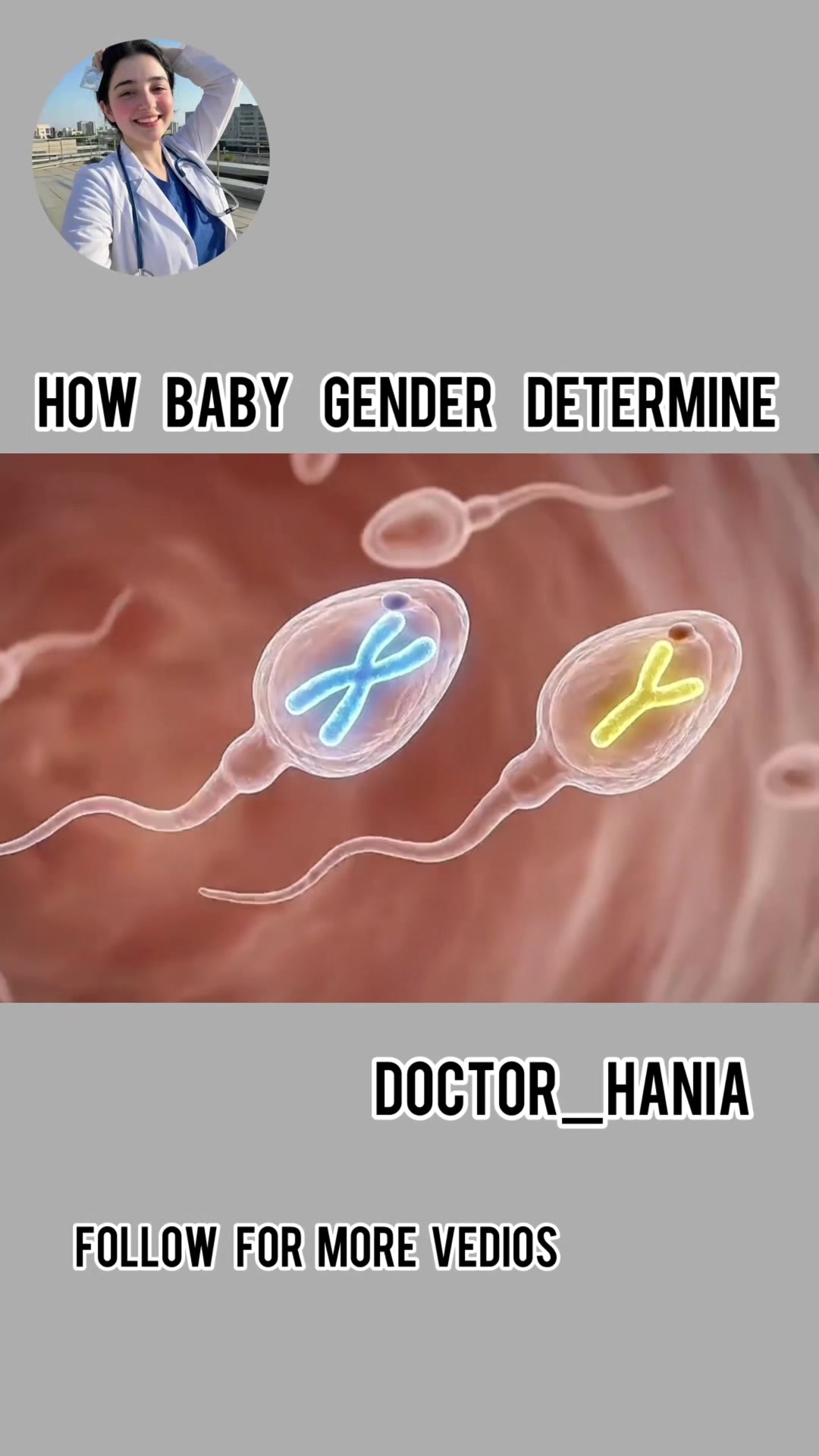 @Doctor Hania