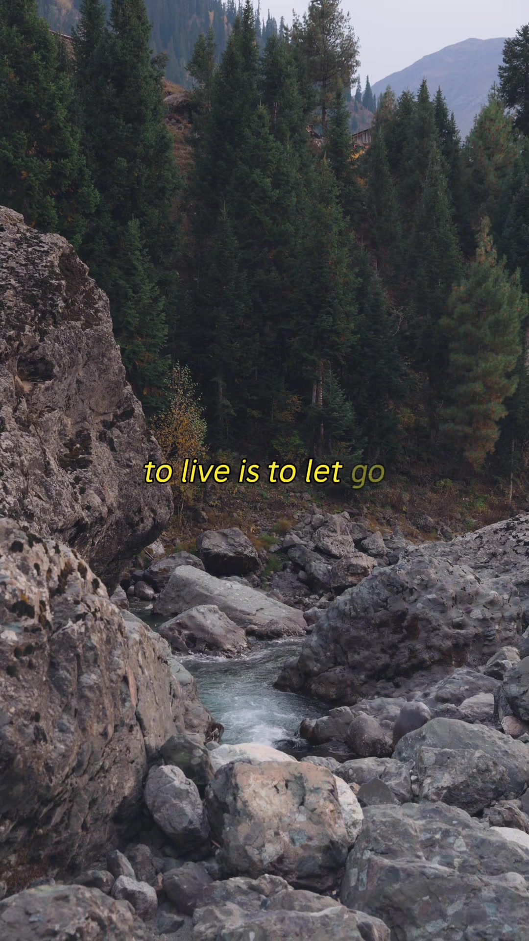 @Levi Washington