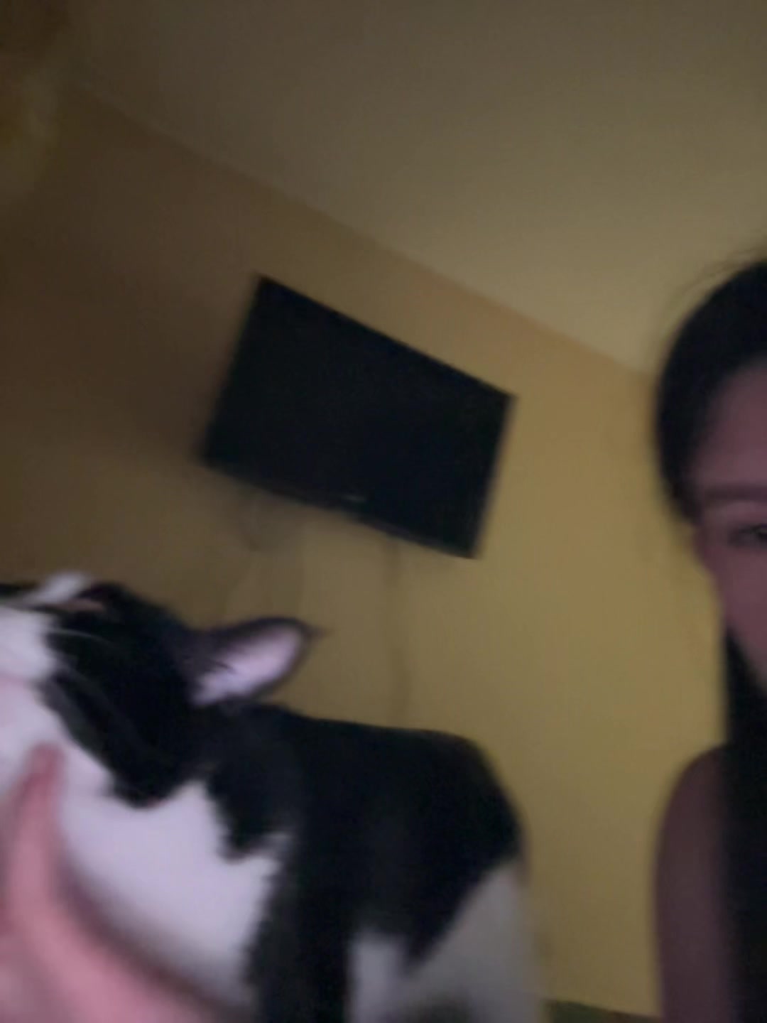 @qisooniq