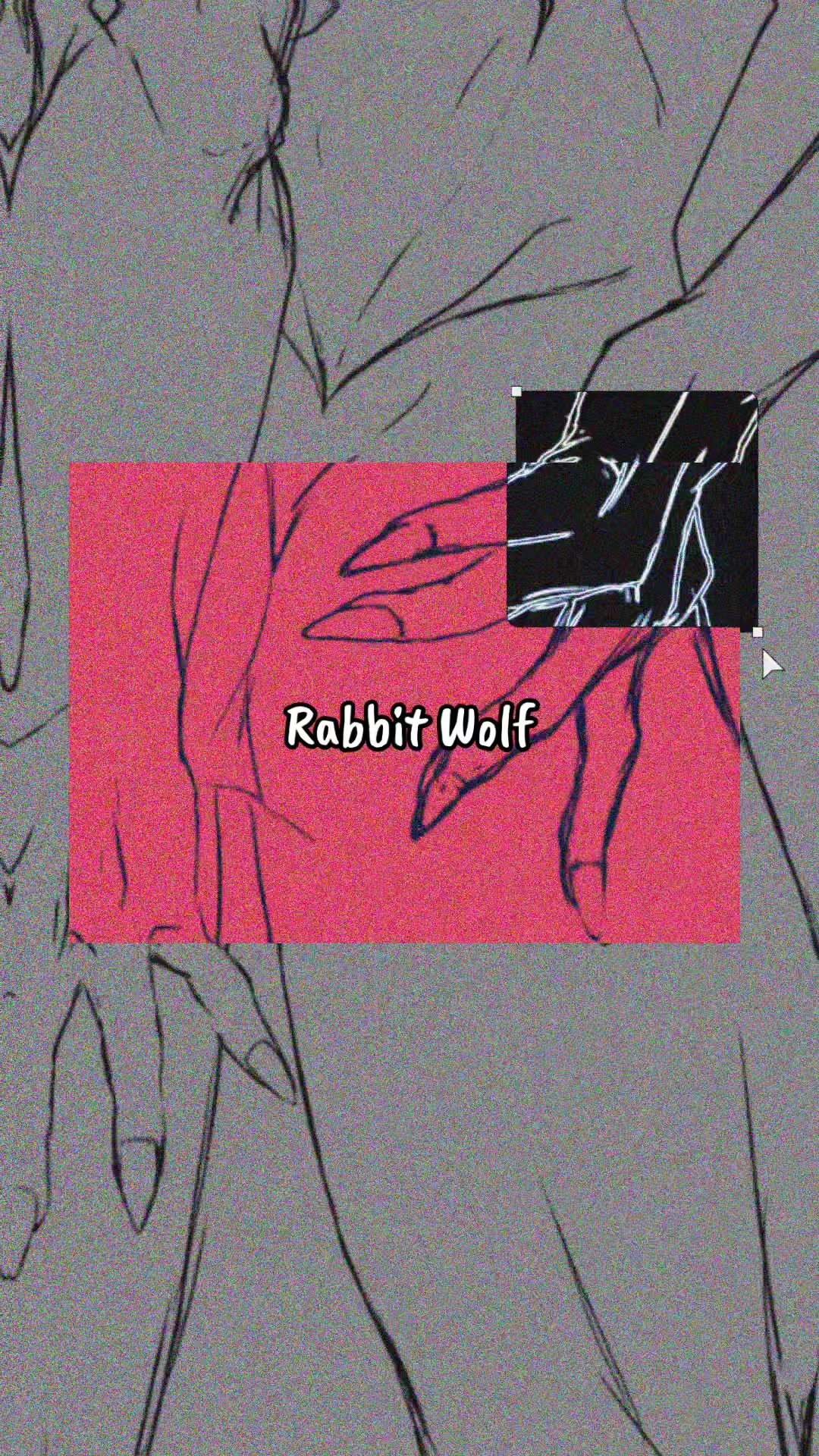 @Rabbit Wolf