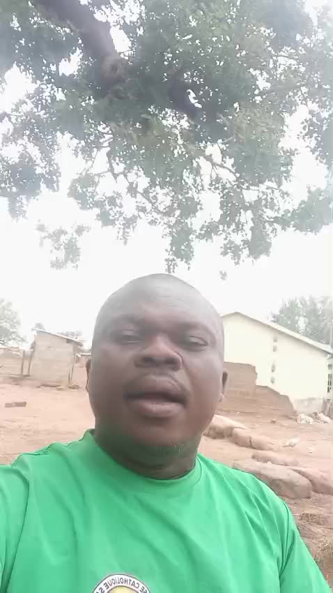 @jonasalogteoho@gmail.com