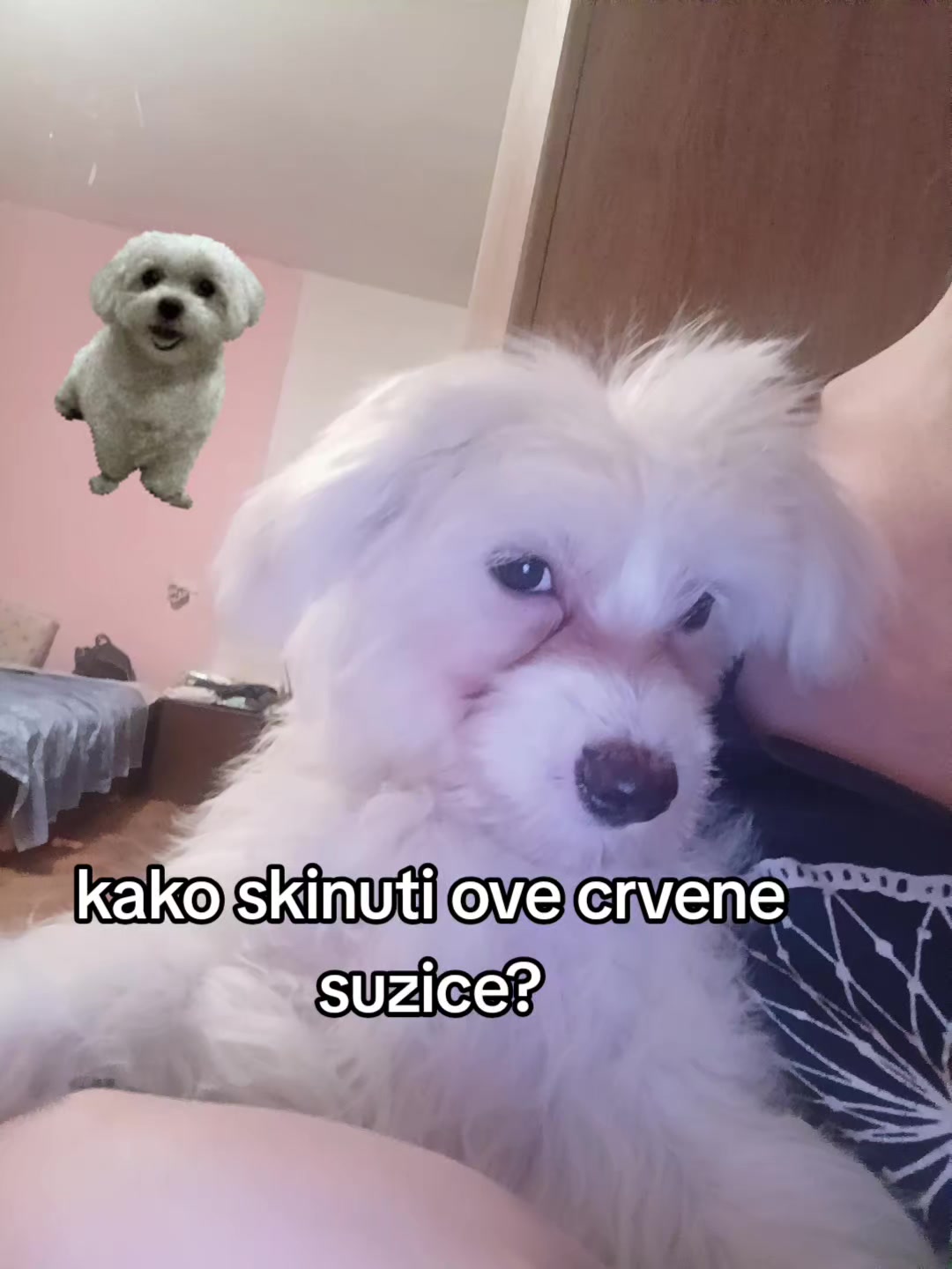 @๐ ๐๐ข๐๐๐ ๐