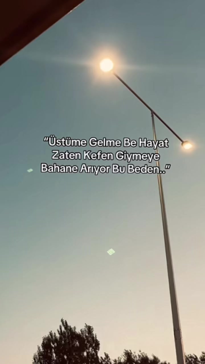 @busesr1