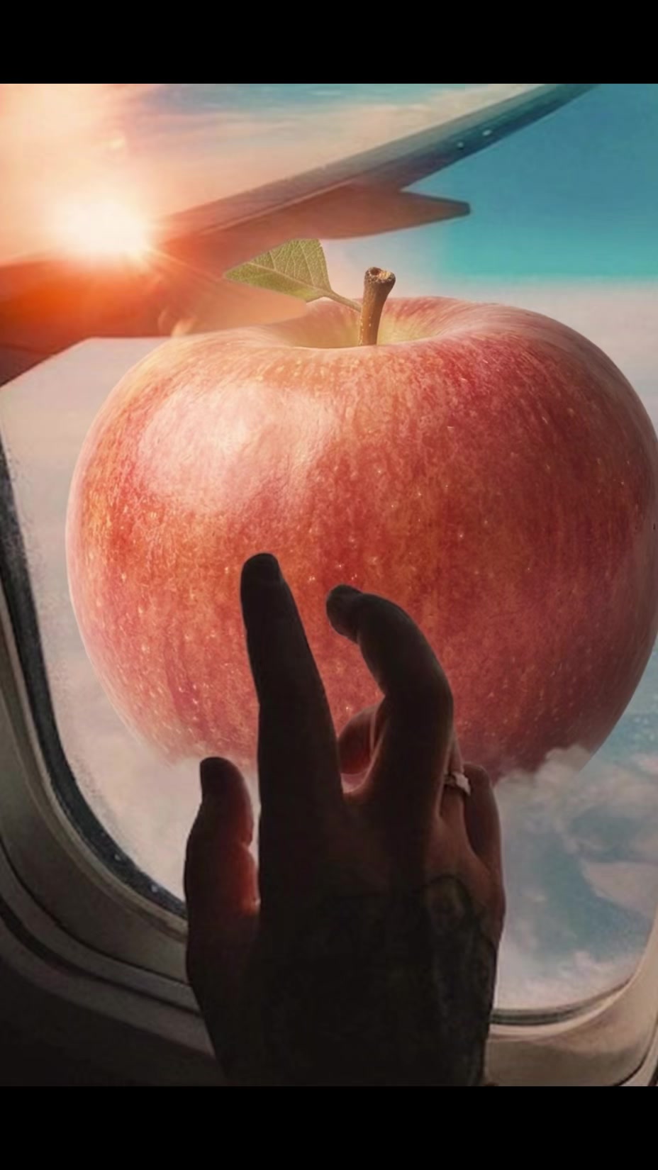 @Aviasales ✈️