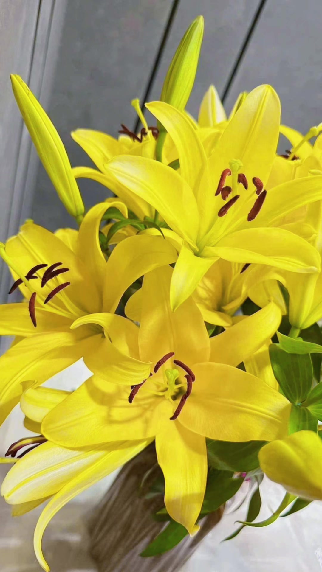 @Changchangtrang flower
