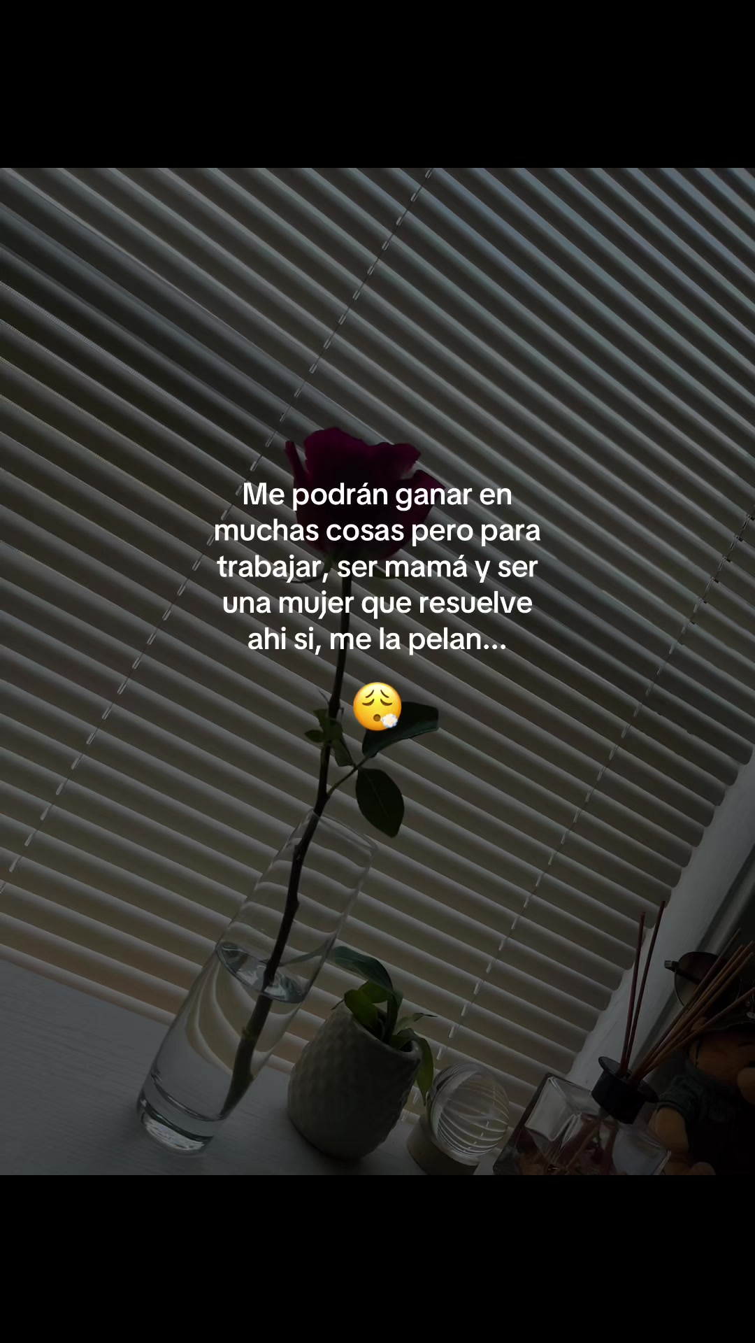 @💫🌸Yesly.M🌸💫