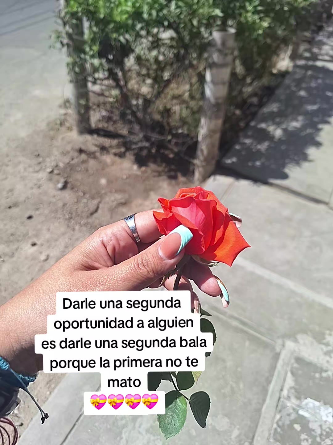 @💞TaHer💞 te sigue