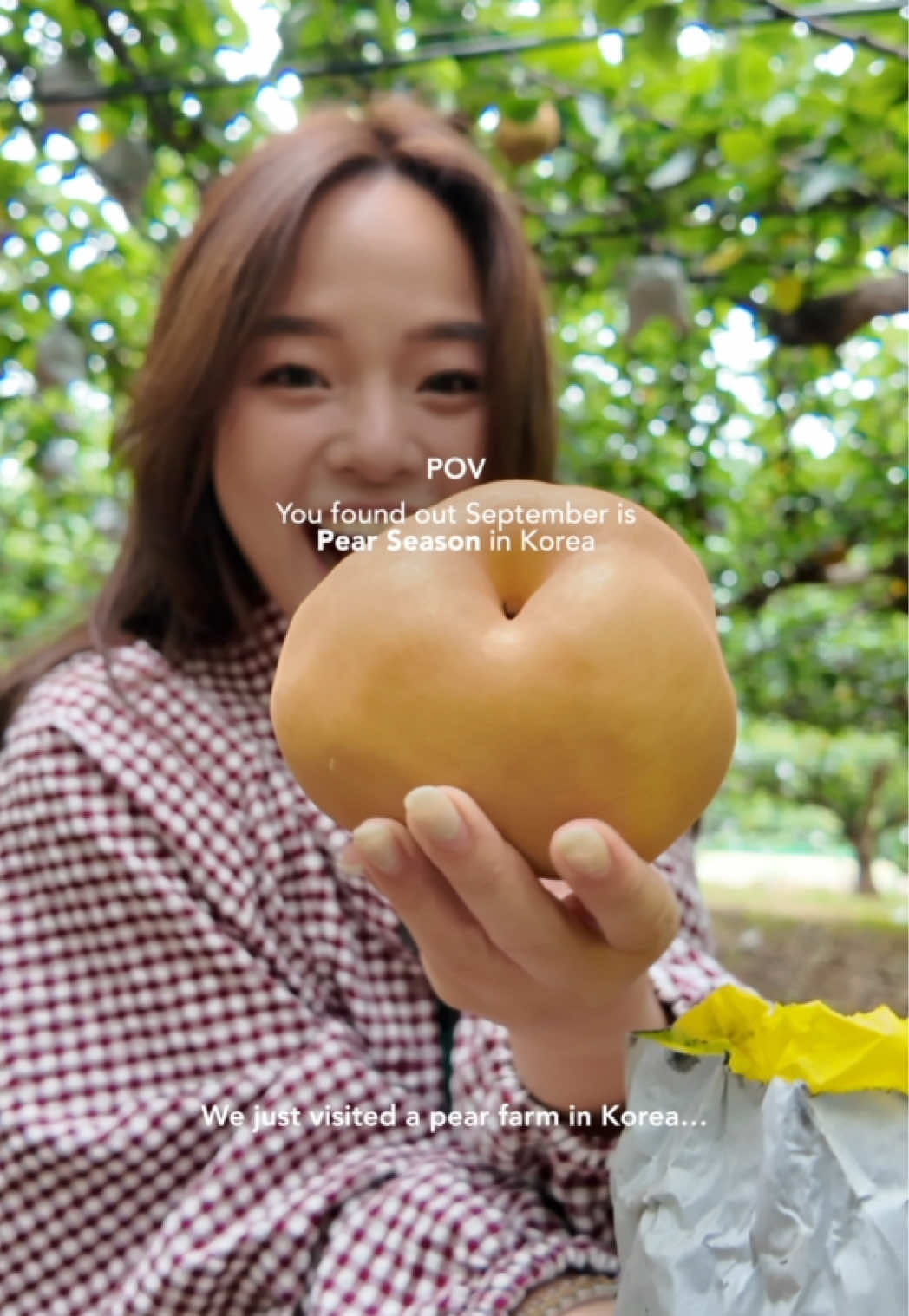 @hazelquing