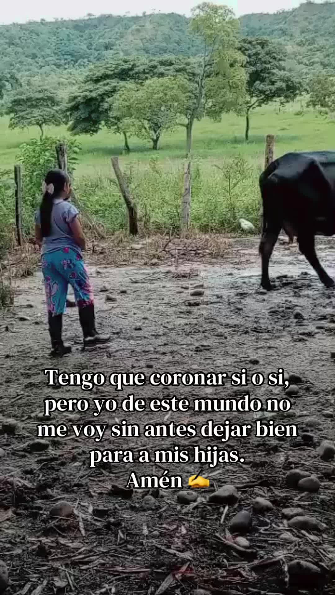 @Milexsy