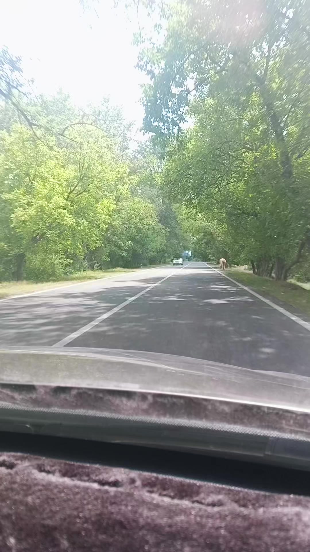 @Taleh_Mikayılov__™️