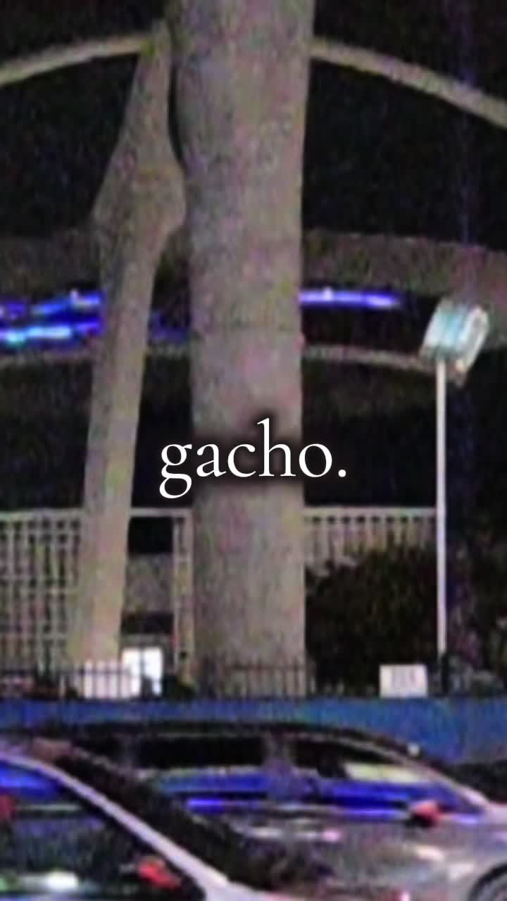 @gacho.