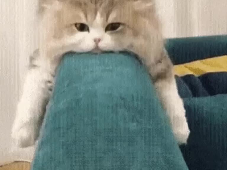 @на вайбе