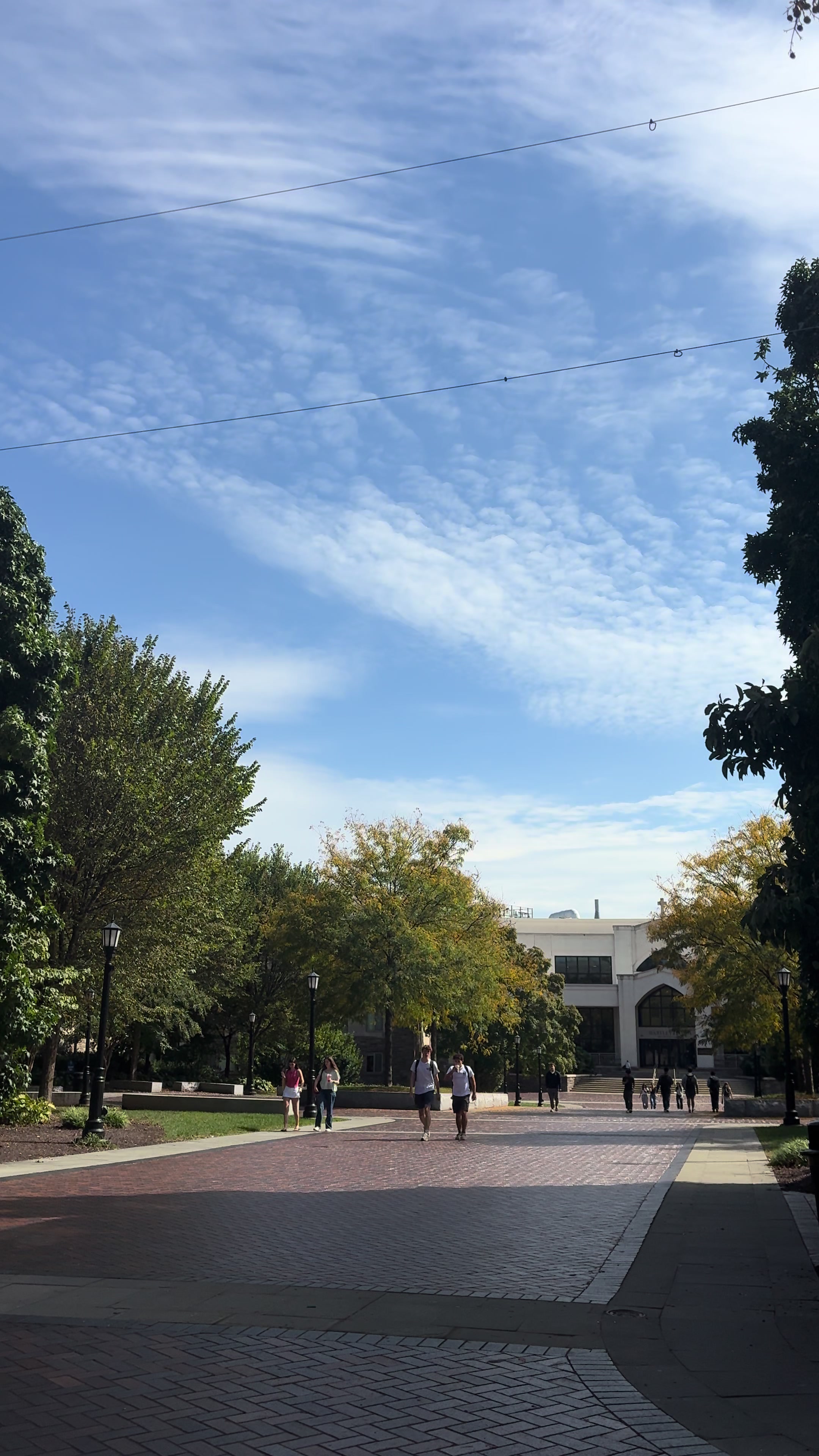@Villanova Greg