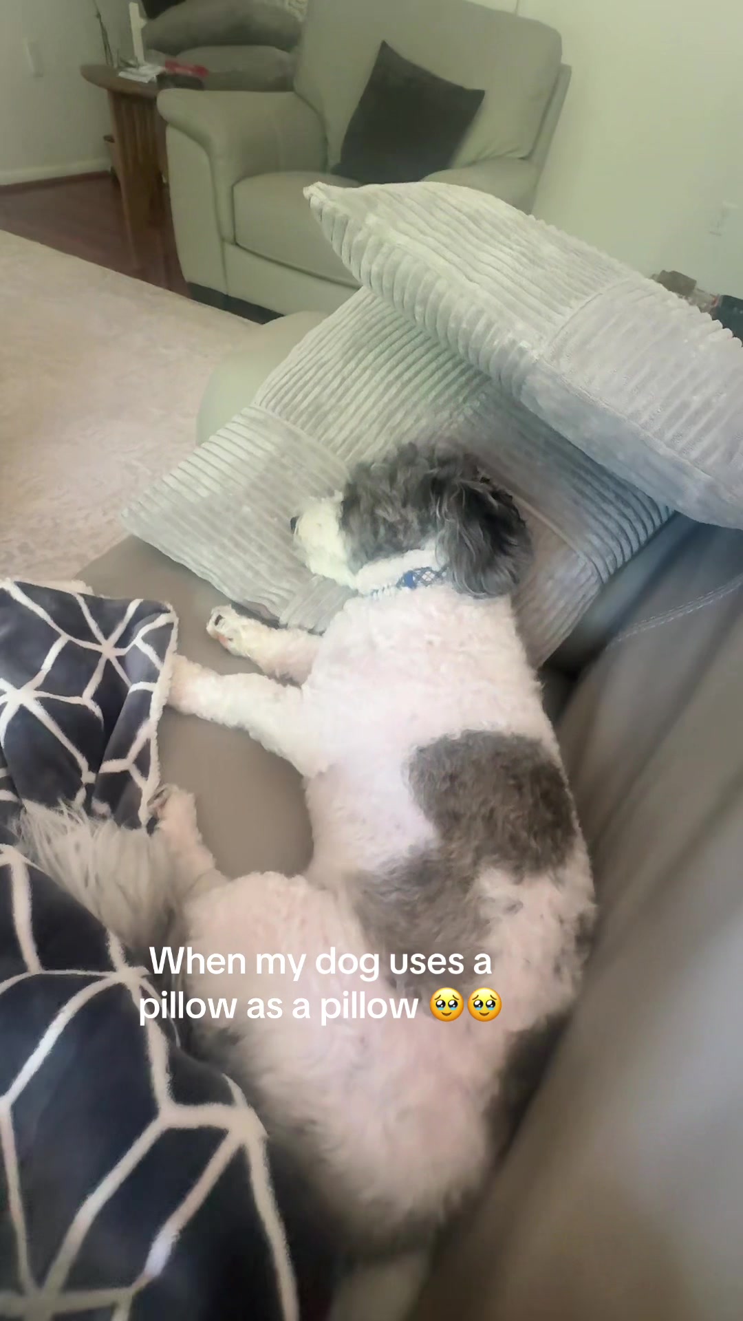 @™️