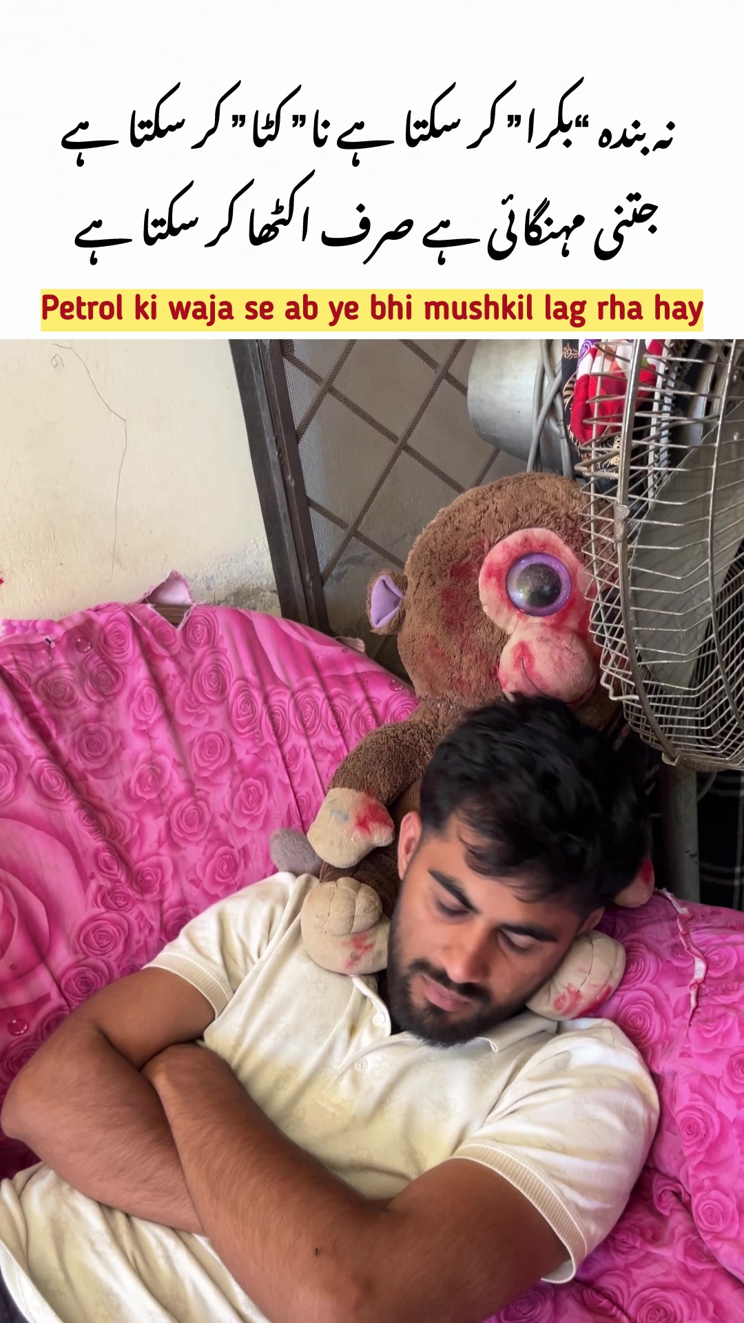 @Hussnain