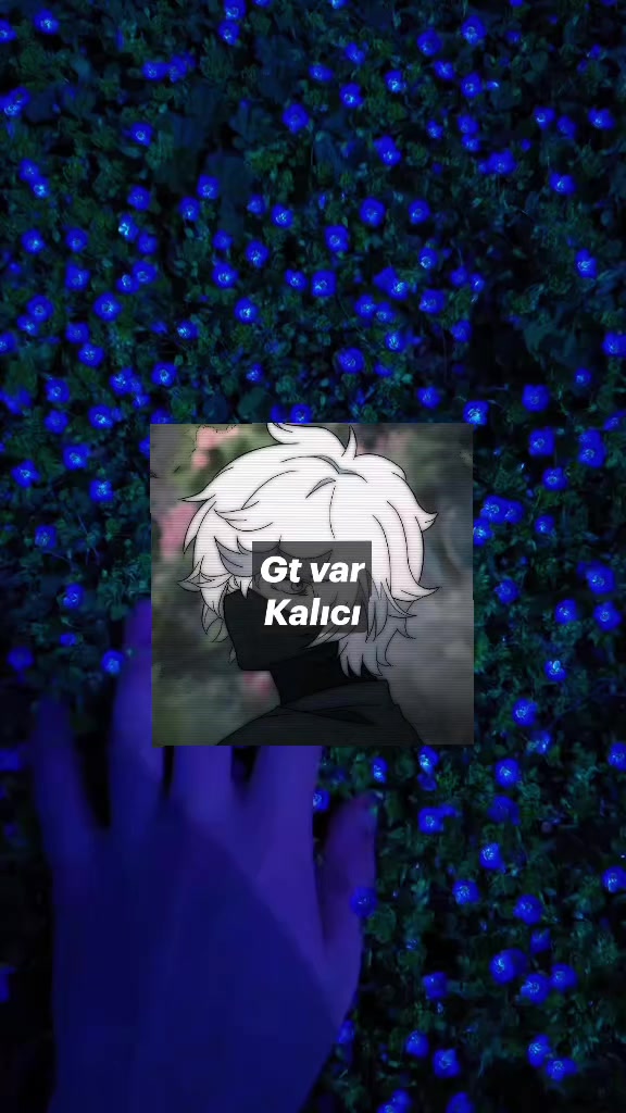 @oceankaan