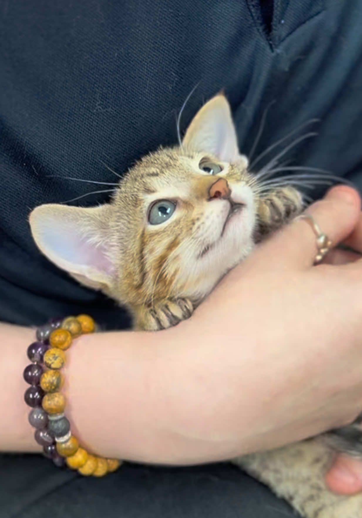 @Petland Oklahoma City