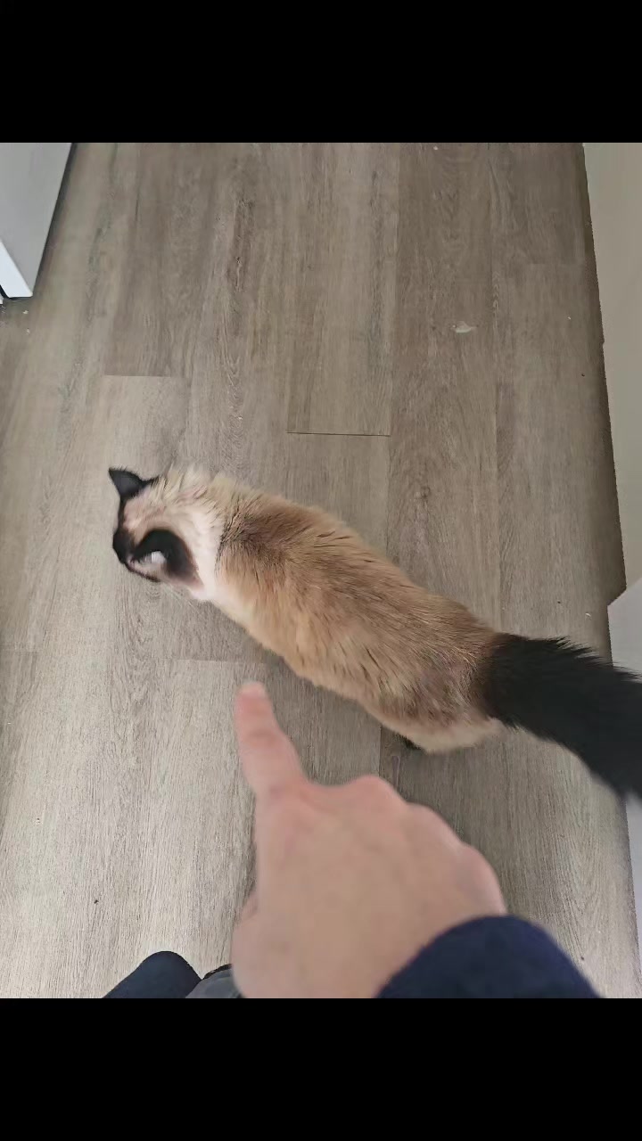 @PicklesTheCat2