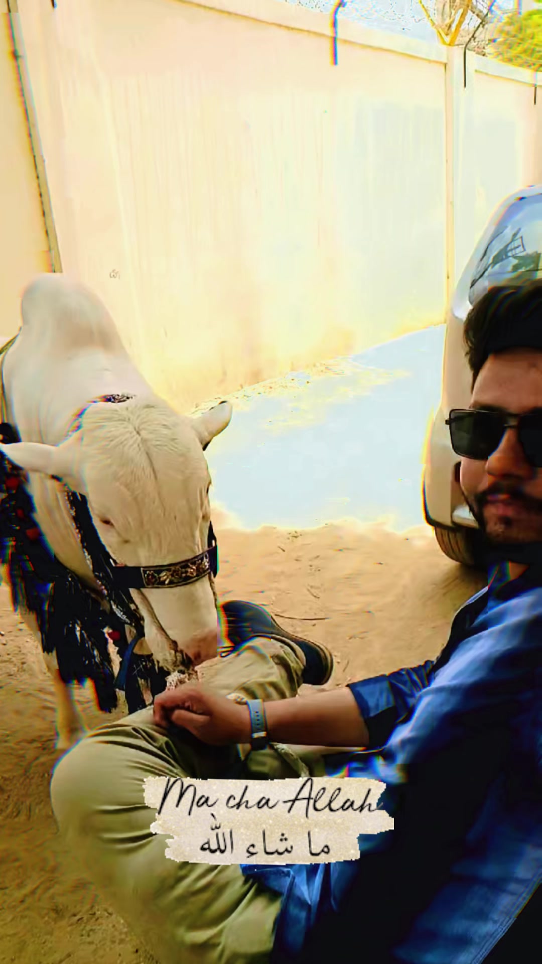 @Muhammad Abubakar