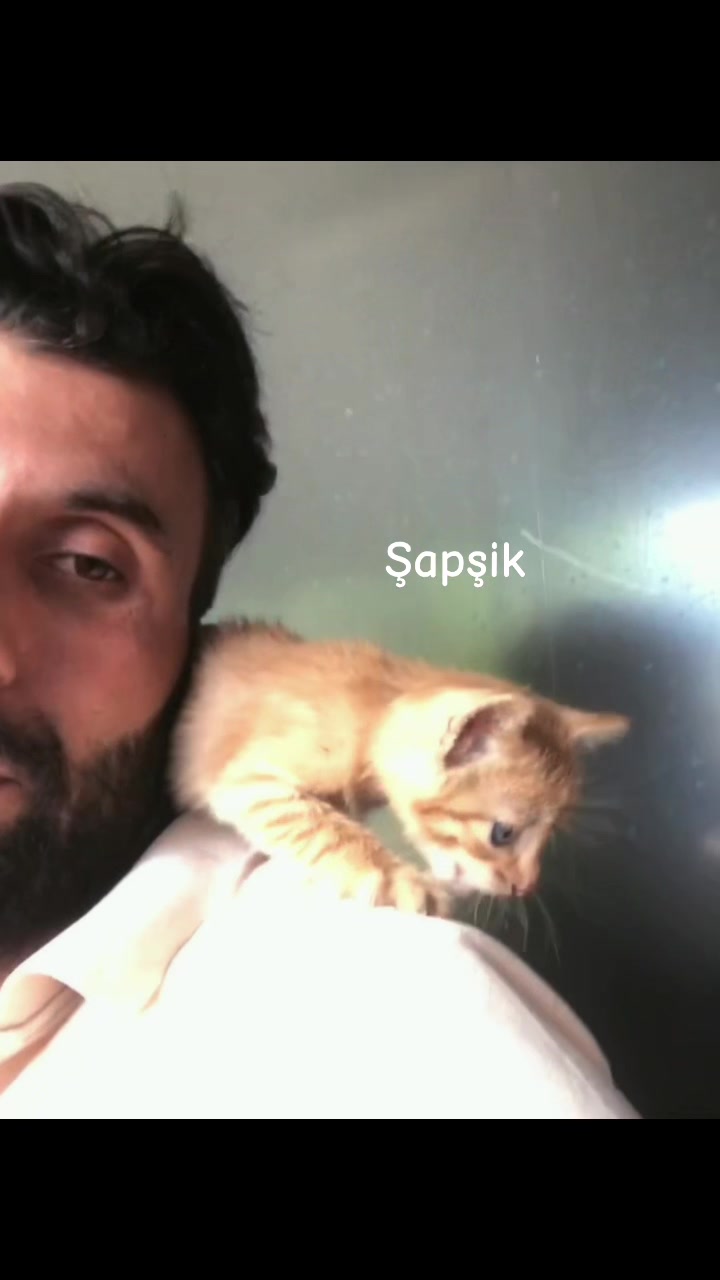 @Sel&ccedil;uk &Ccedil;etin