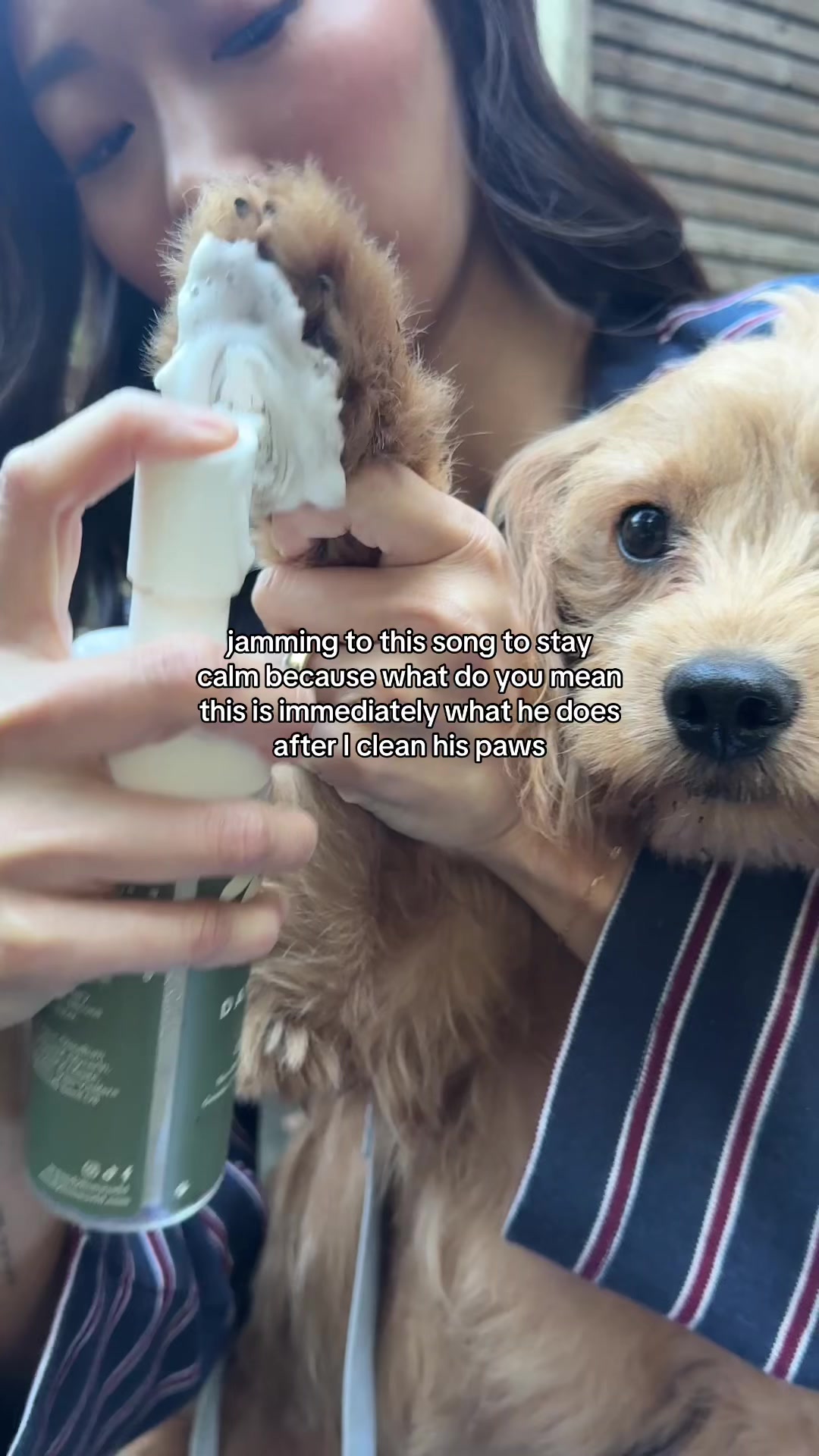 @Carolyn Chen