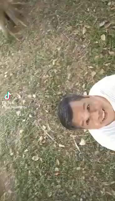 @Elisa