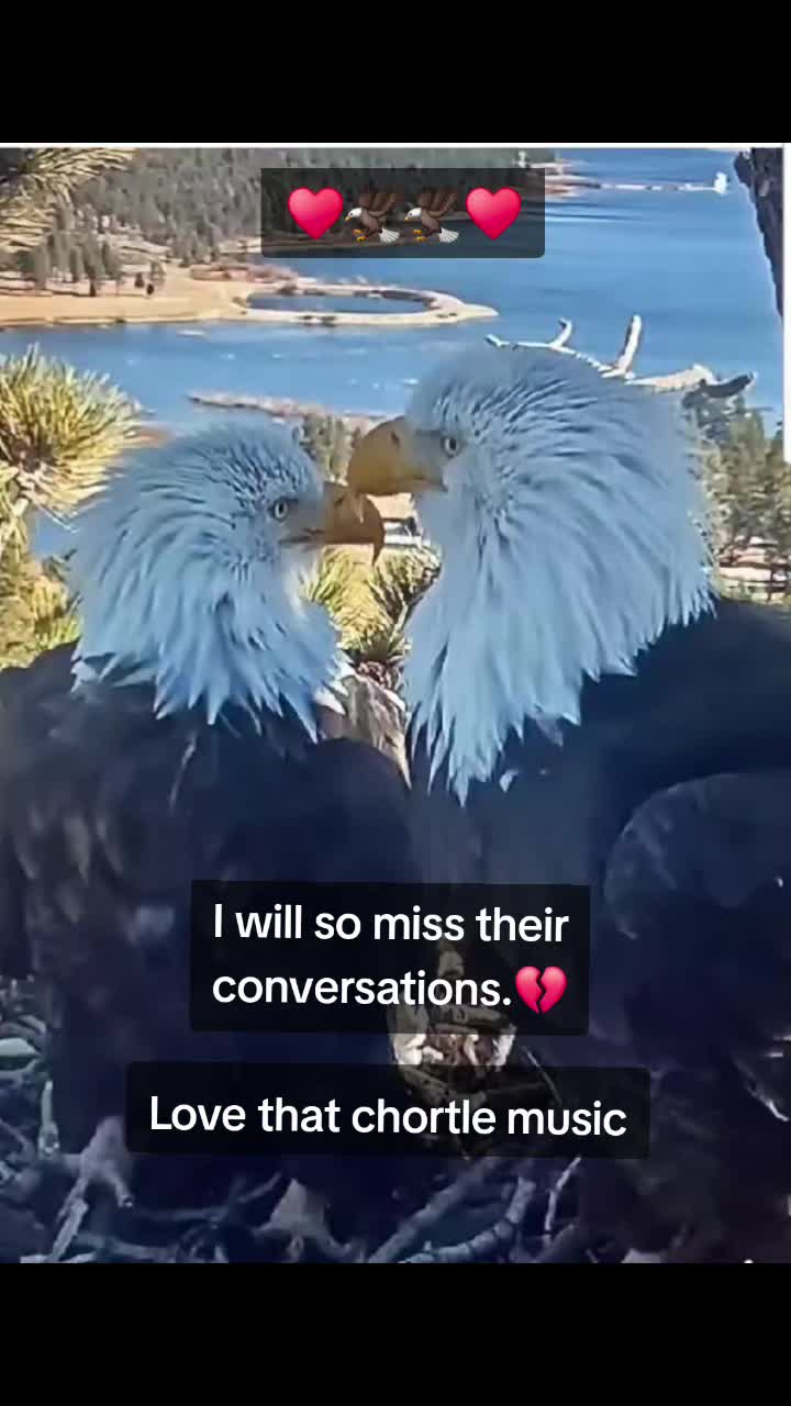 @Bri._.All