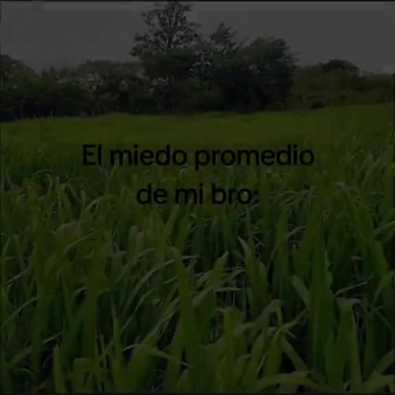 @un random si presupuesto 🤑