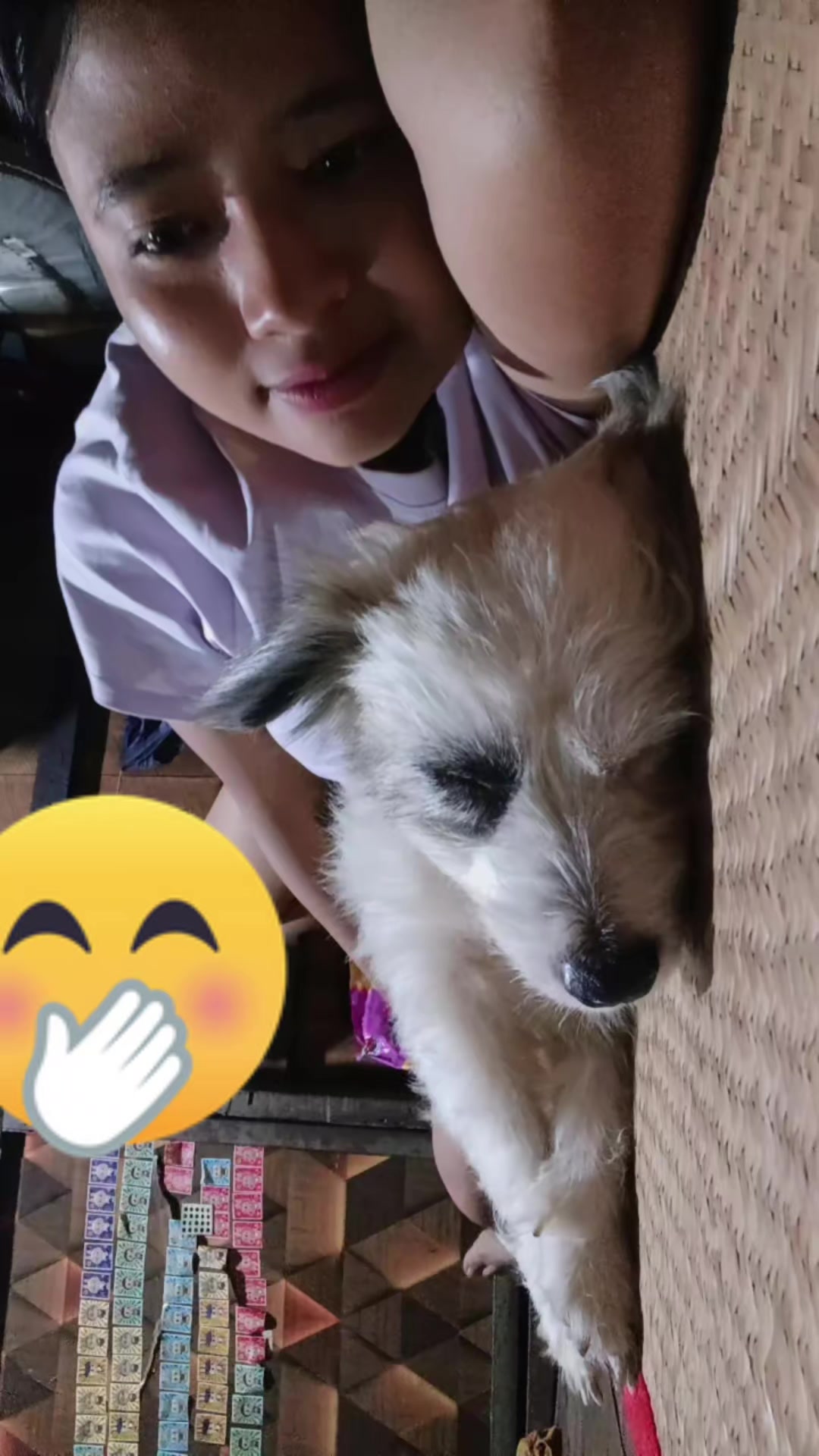 @๐งธ๐ป๐โ
๐ทโ
๐งธ๐๐ป๐