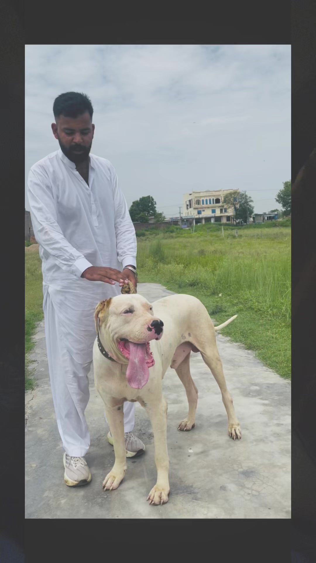 @Abdullah Mattu