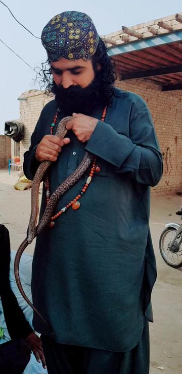 @چاچا ہابا رابا