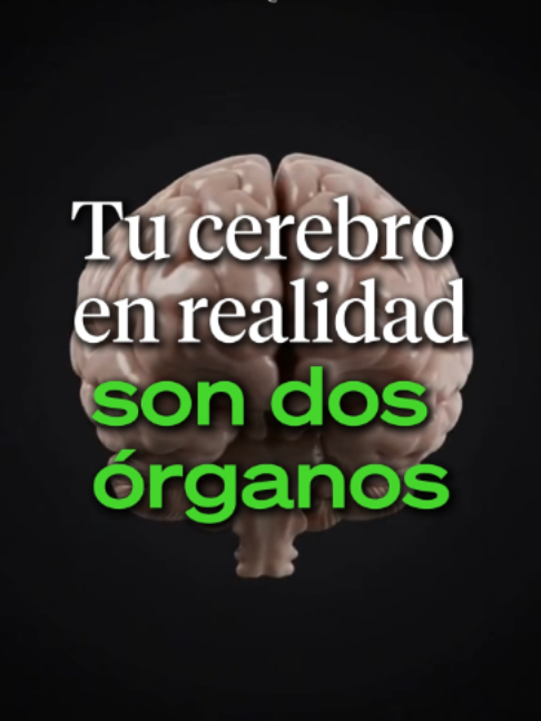 @Ahora Entiendo