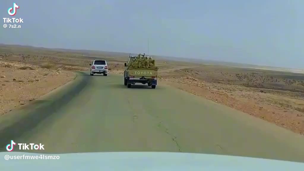 @ابو ضي العين👁️.A