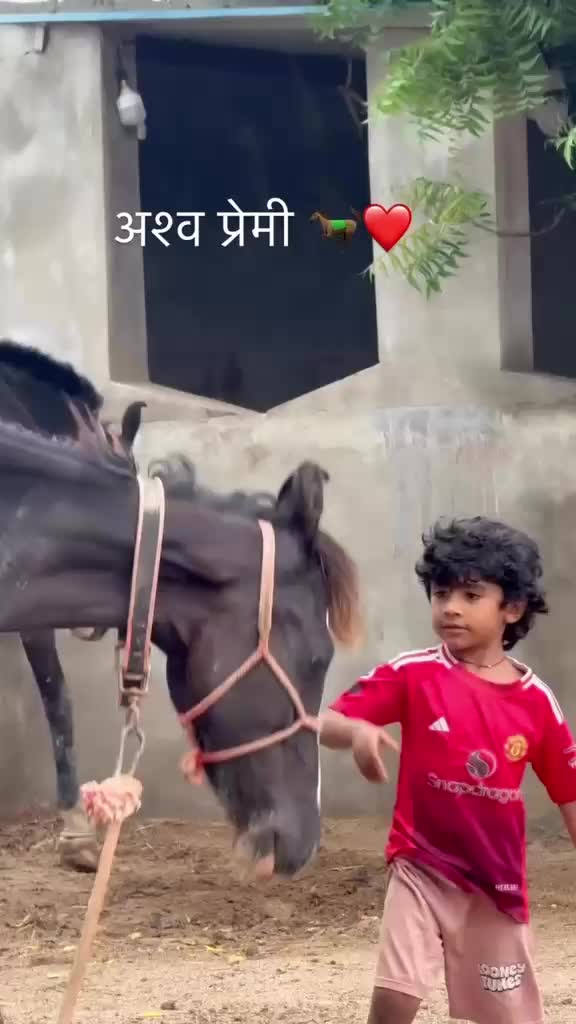 @vishal Patel 🐎 🐎 🐎