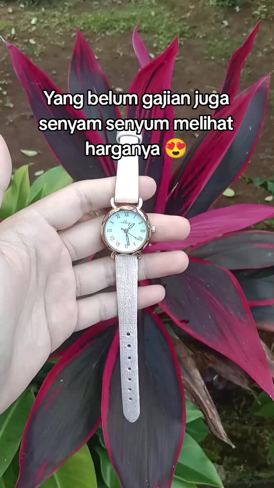@S-tetik 🛒