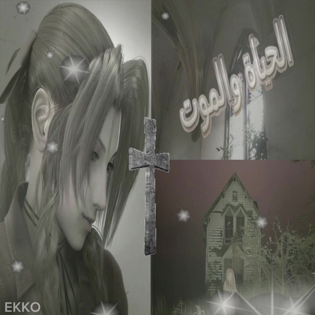 @ekko!