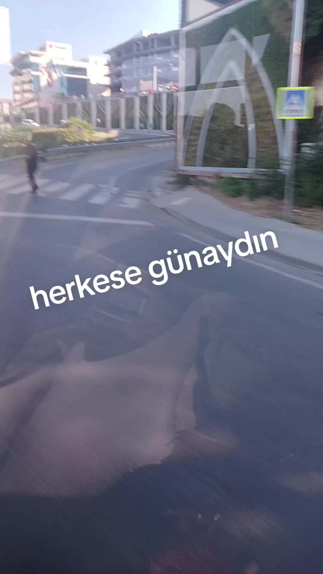 @mav&icirc;ş