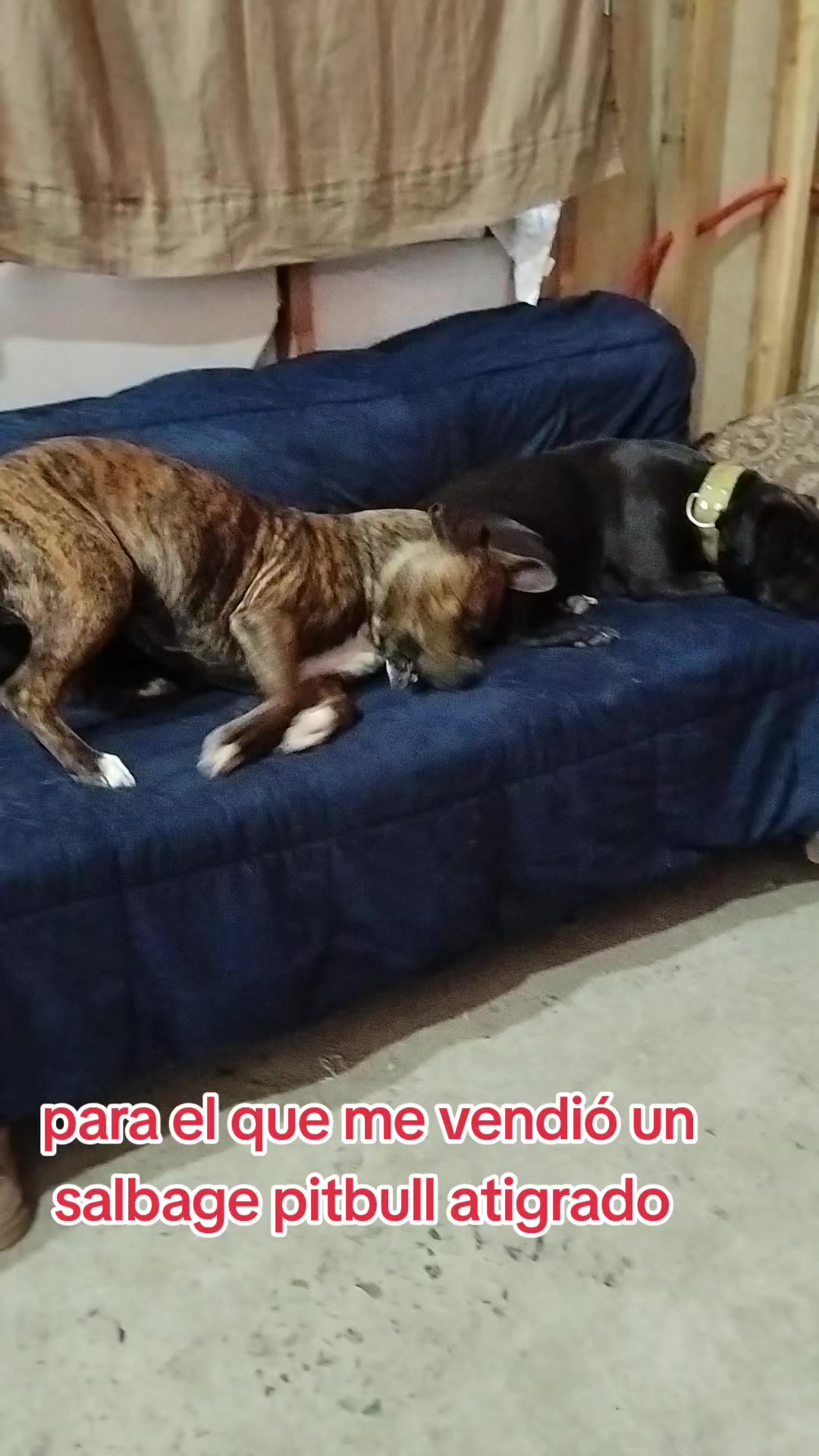 @la señora María