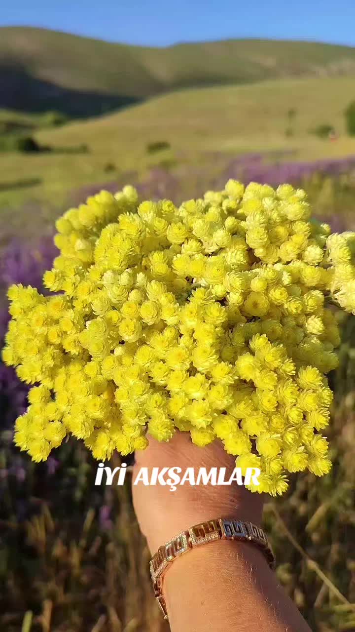 @Hasan Yılmaz