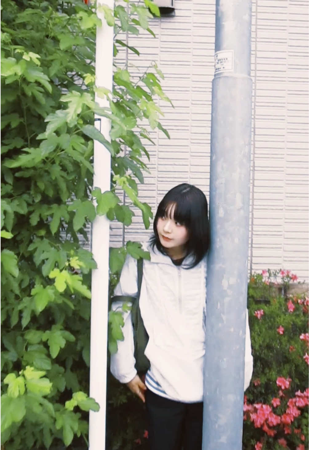 @明日海