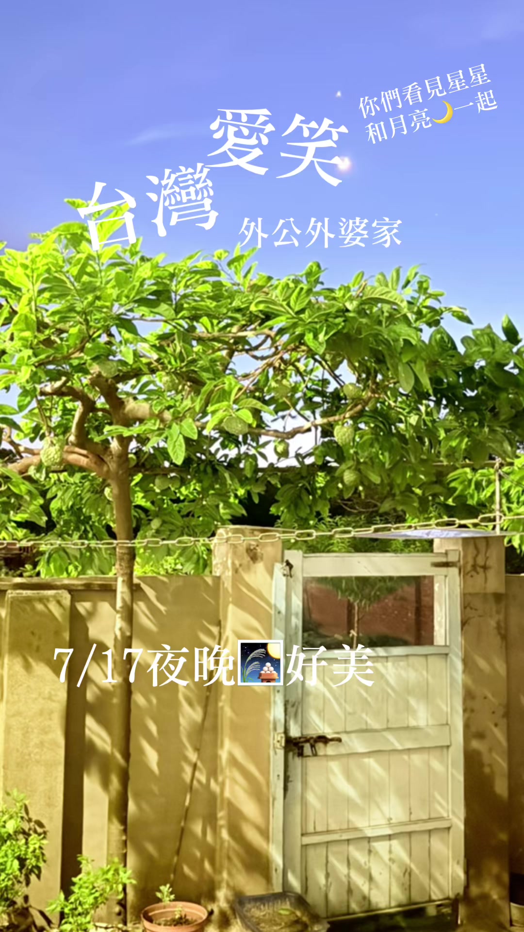 @🌻愛笑👀💕🌸🪁