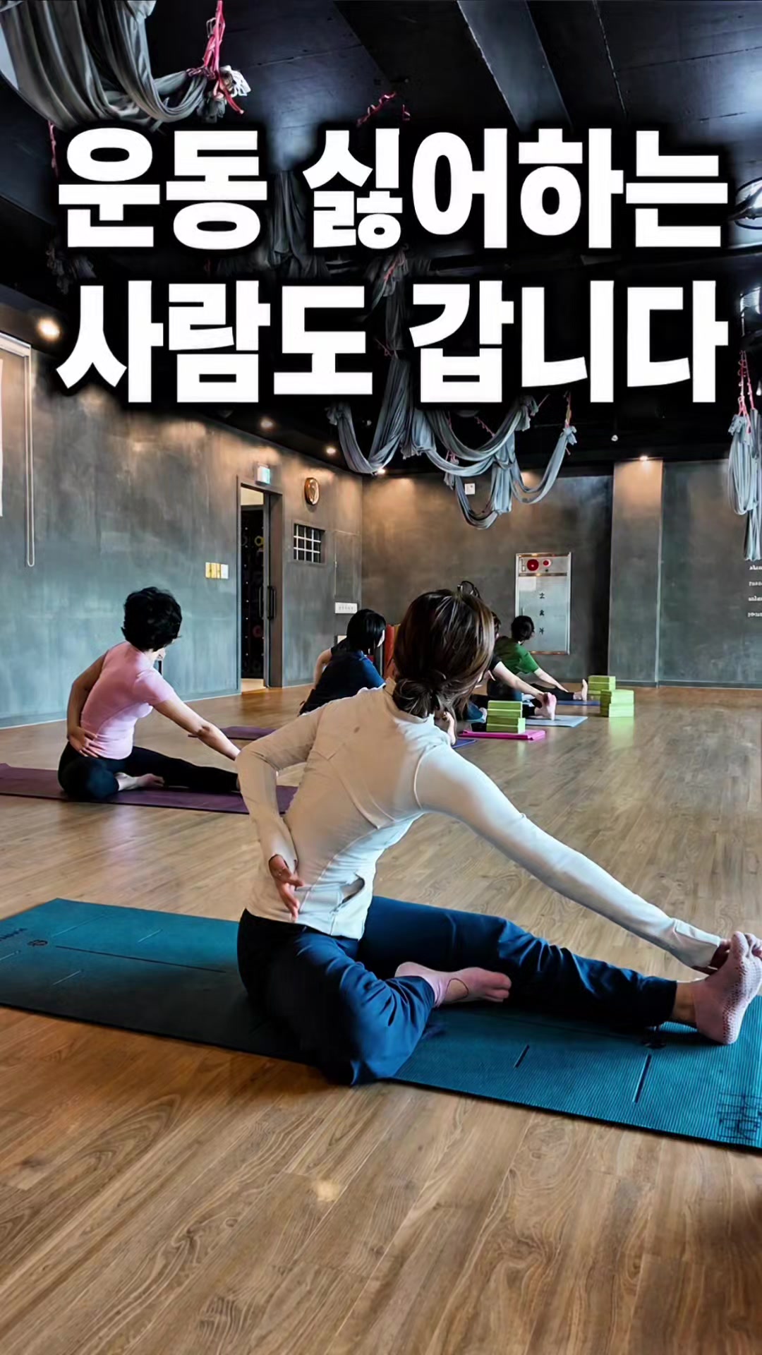 @해피문군