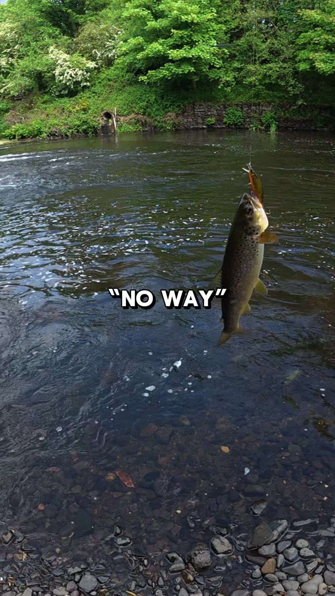 @JlangFishing