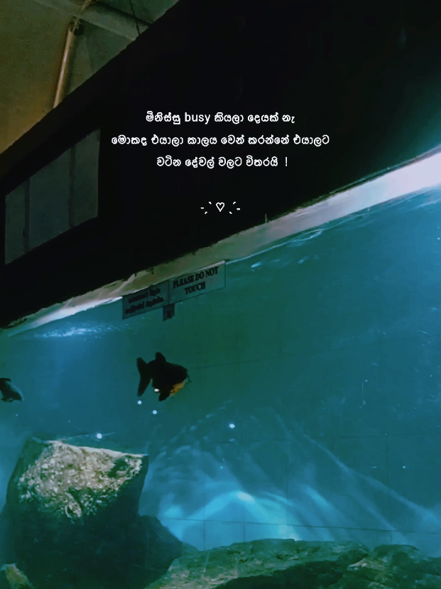 @𝑺𝒉𝒂𝒏𝒊 𝒃𝒆𝒂𝒓 💭