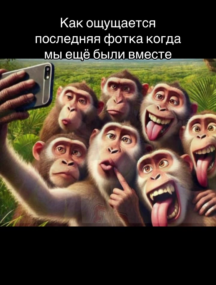 @ЛИС